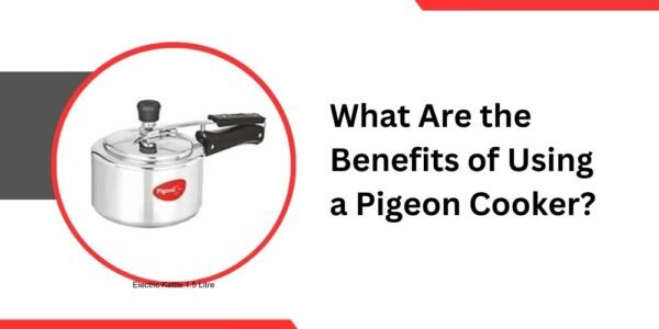 Pigeon Cooker