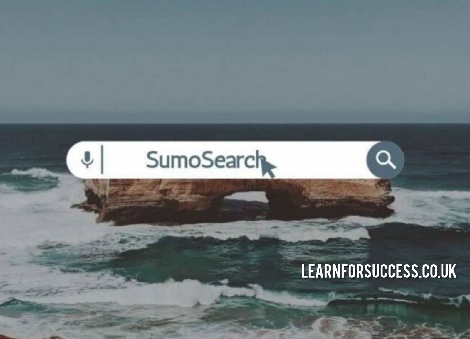 Sumosearch: The Ultimate Tool for Efficient Online Searches