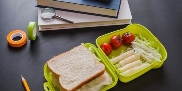 School Lunch Box Trolleys: Ensuring Safety and Efficiency in U.S. Schools